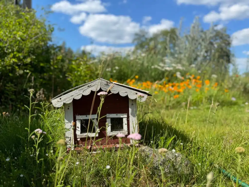 Naturblick rund um das Ferienhaus Emil hemma bei Vimmerby