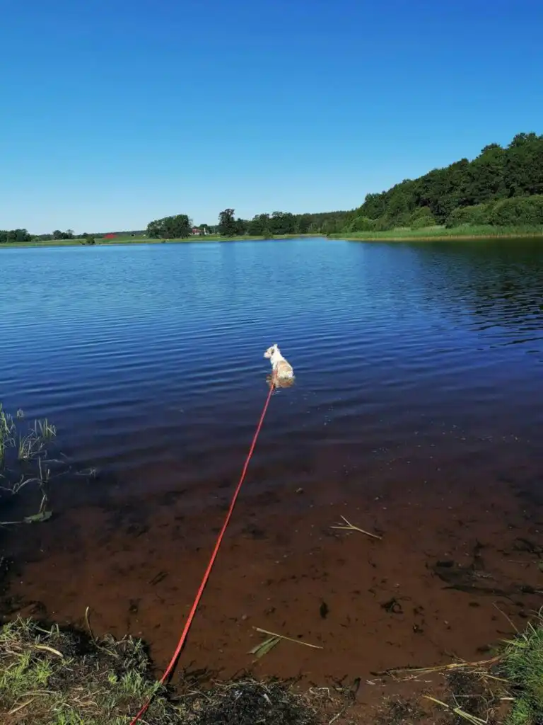 Badesee bei Järnforsen in Småland nahe Emil hemma