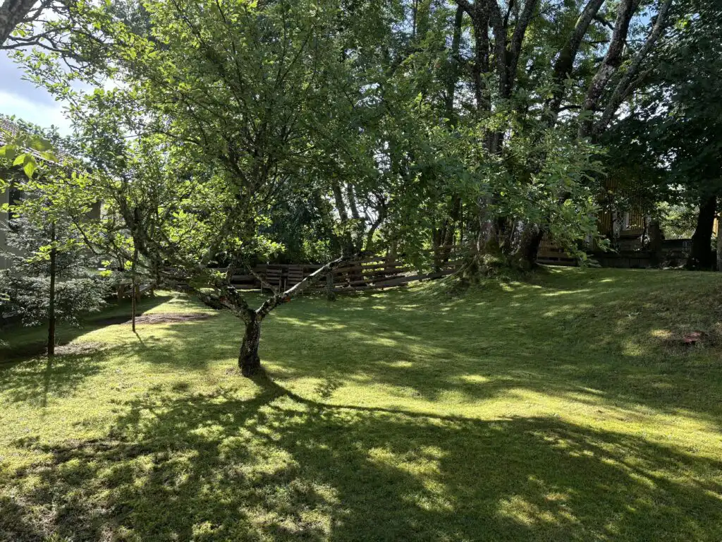 Garten