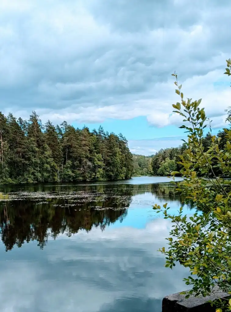 Natur und See in der Umgebung von Silverdalen – Ferienhausregion nahe Astrid Lindgrens Värld
