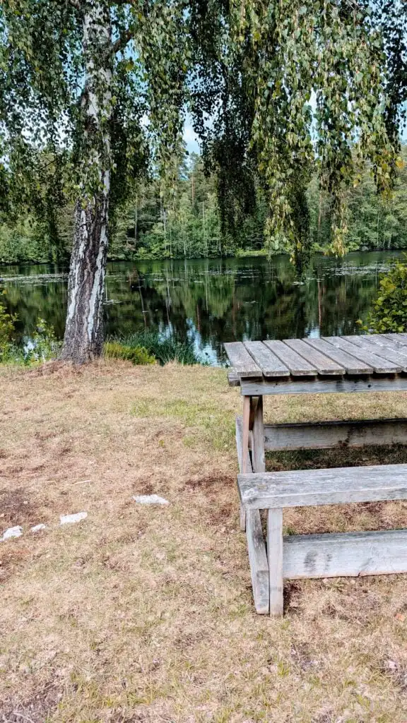 Waldlandschaft bei Silverdalen in Småland – Natur rund um das Ferienhaus Villa Langstrumpf nahe Astrid Lindgrens Värld