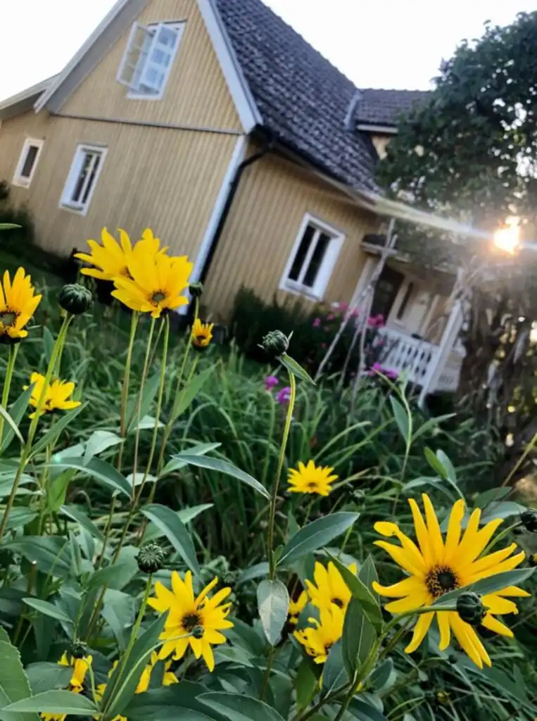 Garten und Natur rund um Villa Obstgarten Ferienhaus in Mörlunda Småland