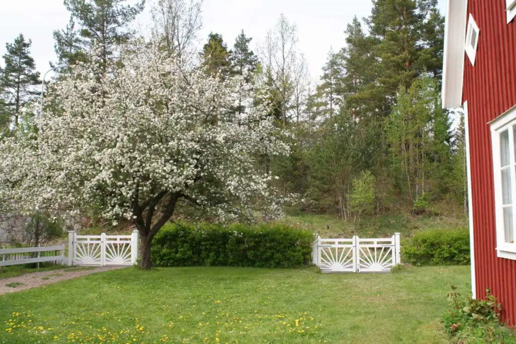 Gartenbereich mit Tisch und Sitzgelegenheiten am Ferienhaus Villa Lilla in Småland