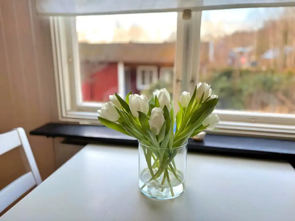 Küche mit großer Arbeitsfläche im Hus Mio in Småland