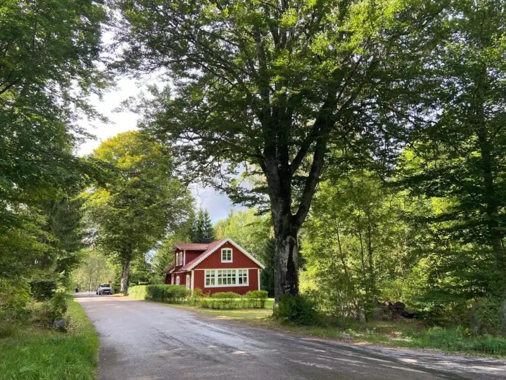 Zufahrtsweg durch Wald zum roten Ferienhaus Torsholma Skolhus in Småland – idyllische Lage mitten in der Natur Schwedens