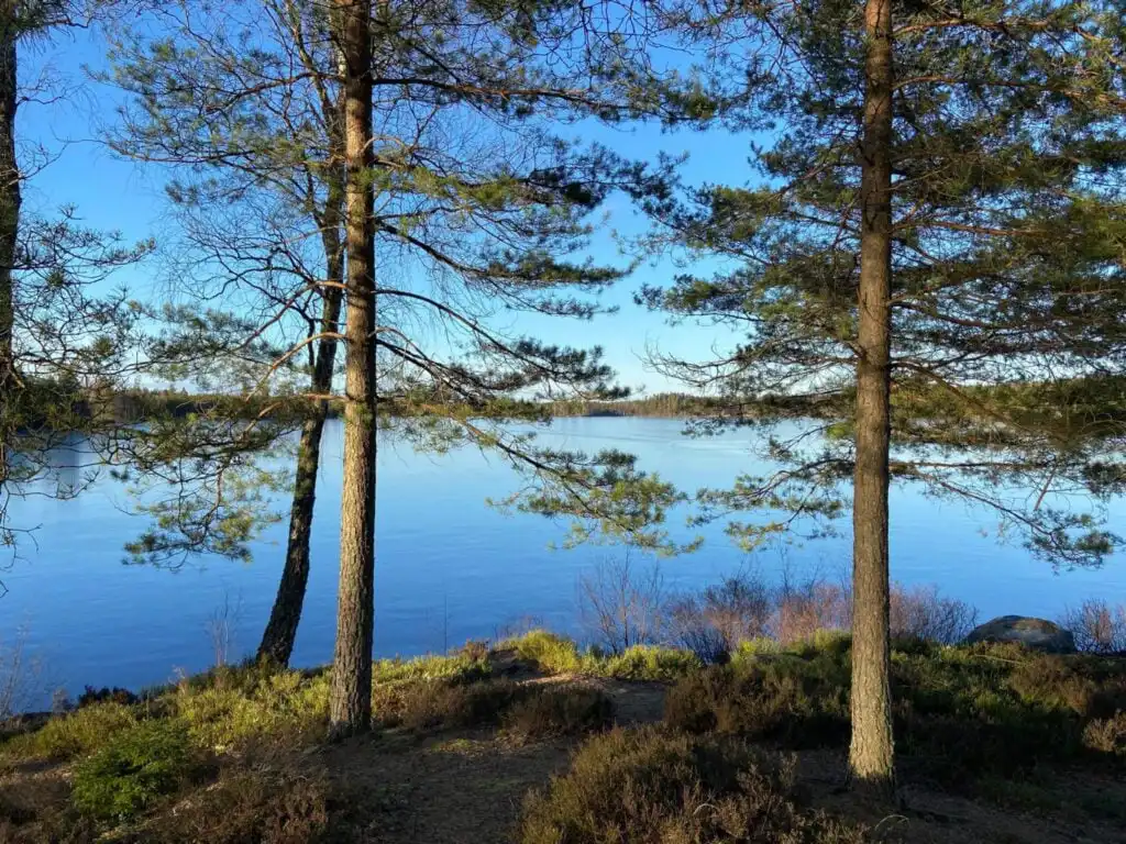 Aussicht über einen småländischen See mit Kiefern und Felsen – typische Landschaft für Natururlaub in Småland, Schweden
