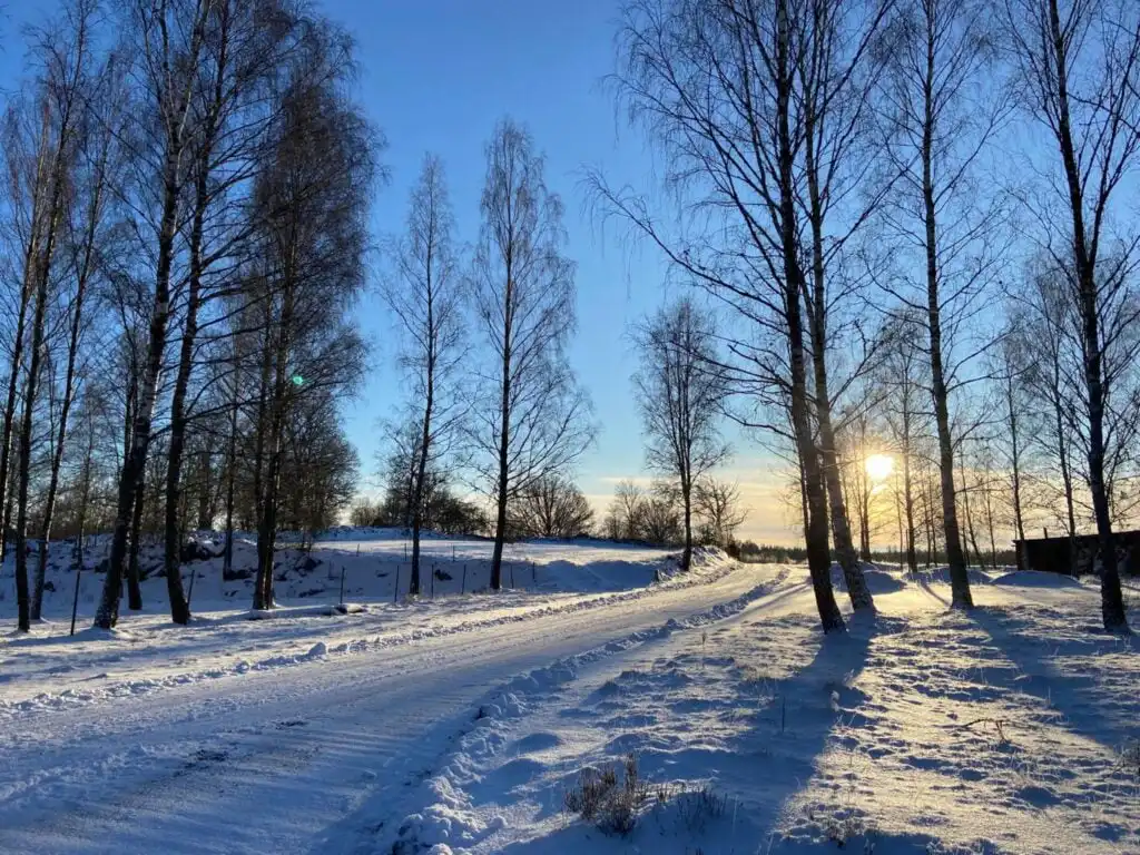 Winterlandschaft mit verschneiten Bäumen und Sonne in Småland nahe dem Ferienhaus Torsholma Skolhus