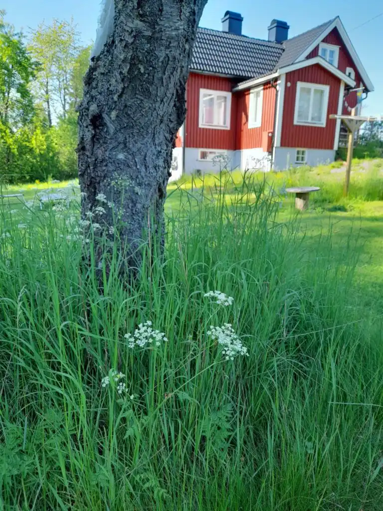 Frühlingsblick auf Hus Anna in Berga – rotes Ferienhaus in Småland in naturnaher Umgebung