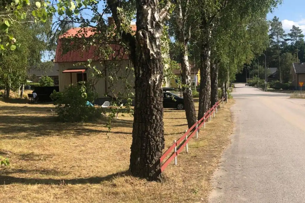 Straße und Umgebung beim Ferienhaus beim Michel in Järnforsen – guter Ausgangspunkt für Ausflüge in Småland