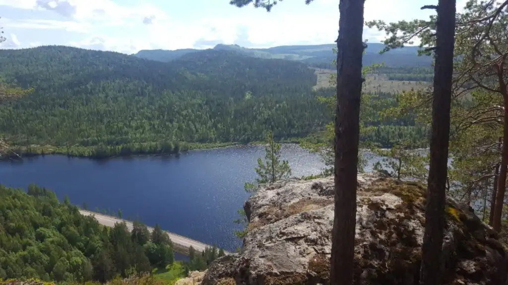 Flusslandschaft bei Hammarstrand in Jämtland – Natur und Wälder in Nordschweden