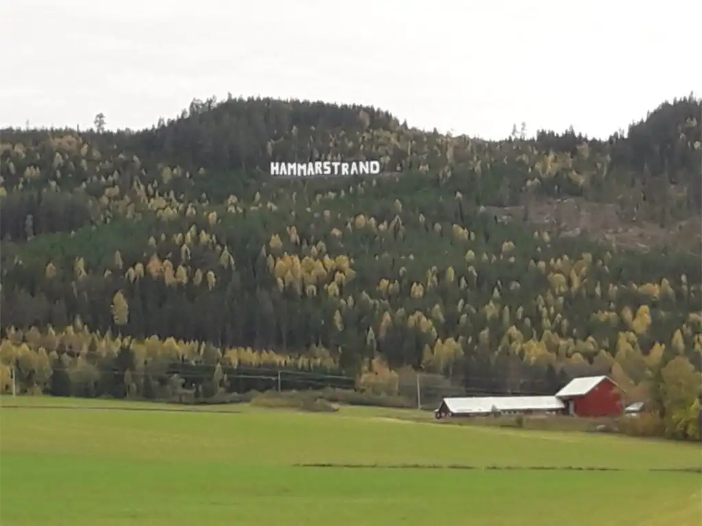 Landschaft bei Hammarstrand in Jämtland – Natur und Wälder rund um das Ferienhaus