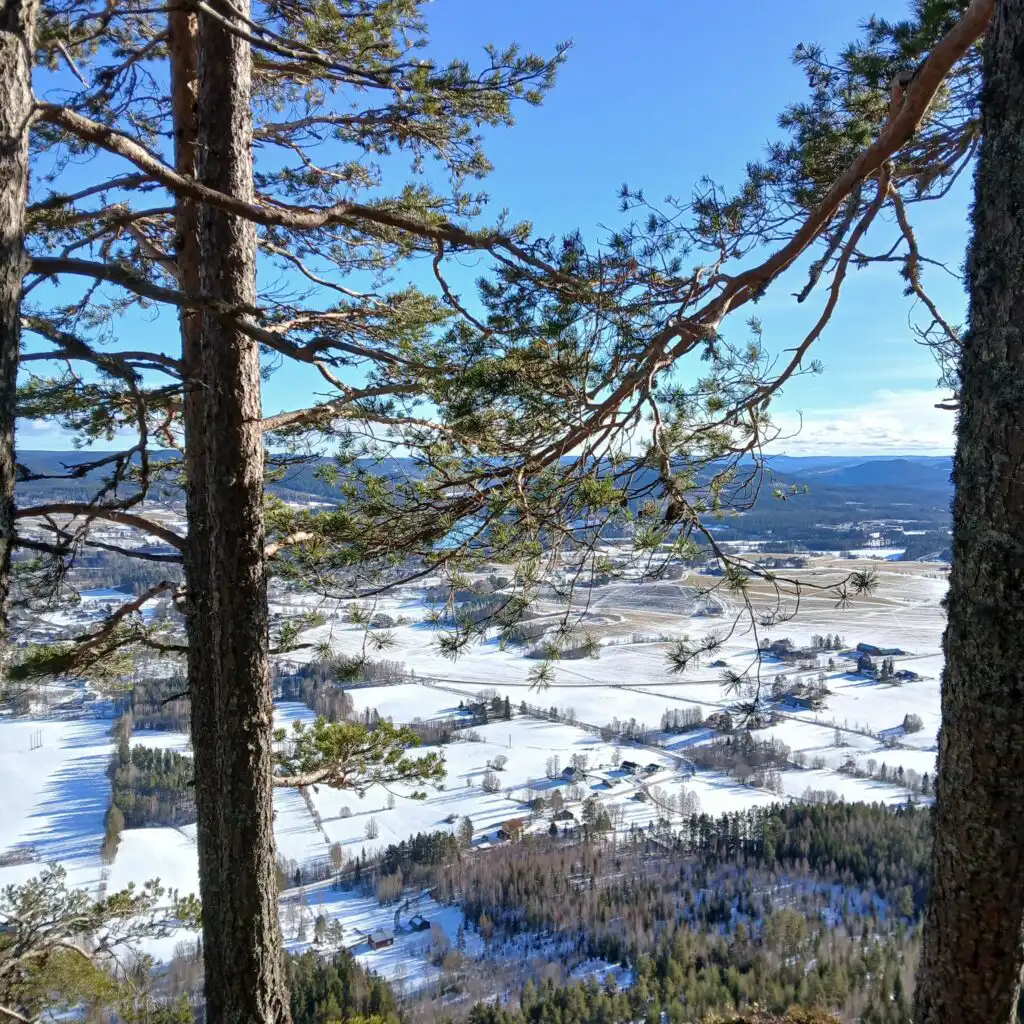 Winterlicher See bei Hammarstrand – verschneite Landschaft in Nordschweden