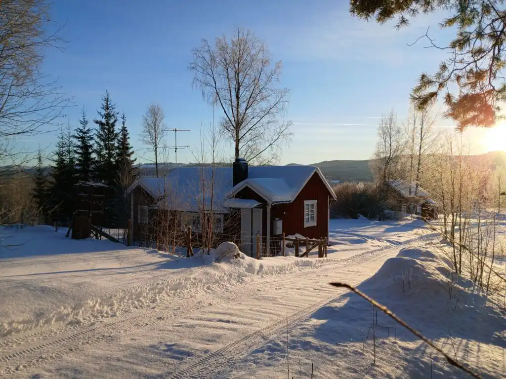 Winterlandschaft bei Hammarstrand – Natur und Wälder im Schnee