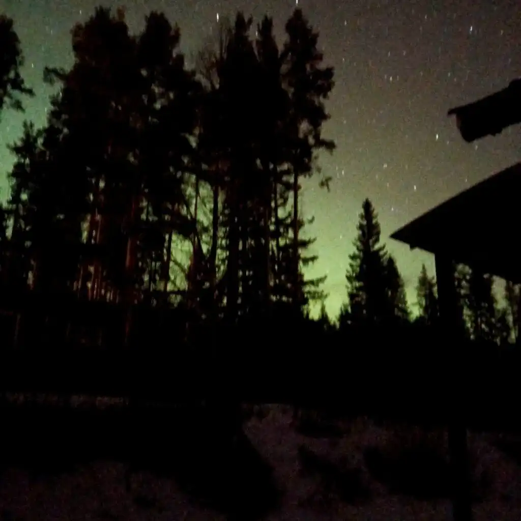 Ferienhaus Hus Hammarstrand bei Nacht – ruhige Lage in der Natur in Nordschweden