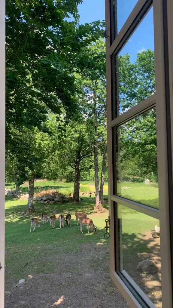 Gartenblick vom Chalet Hjortblick