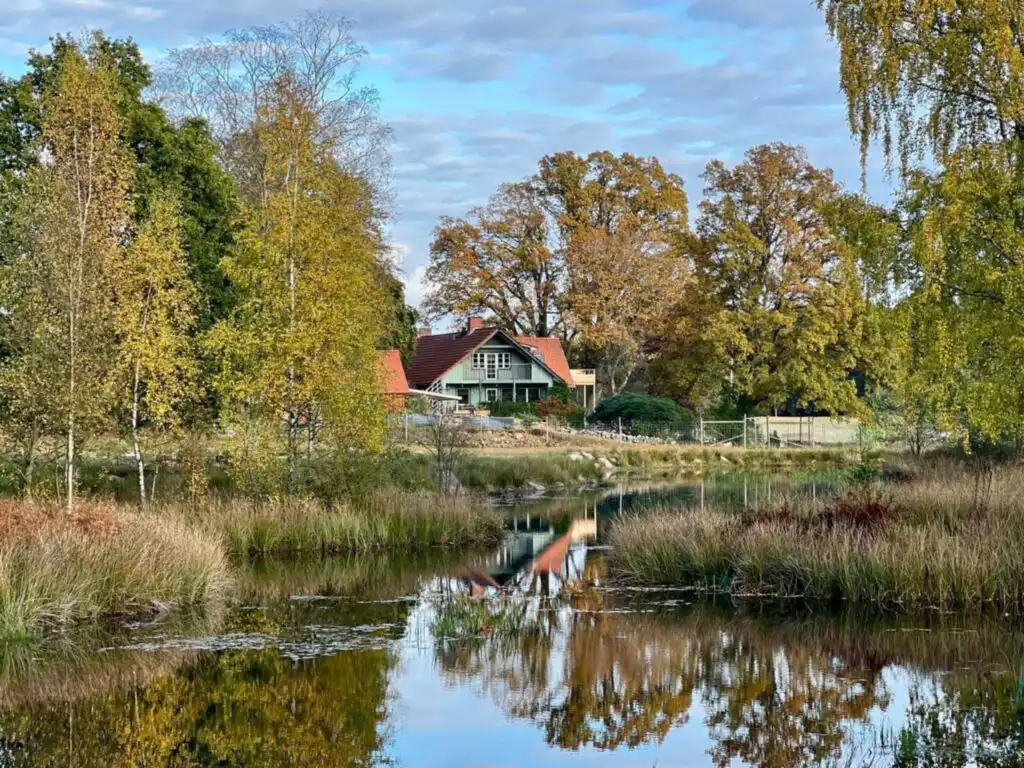 Naturteich auf dem Gelände der Dammwildfarm bei Tyringe