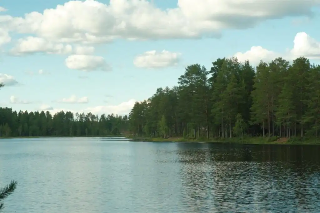See in der Natur nahe dem Ferienhaus Hus Siknäs bei Mora in Dalarna