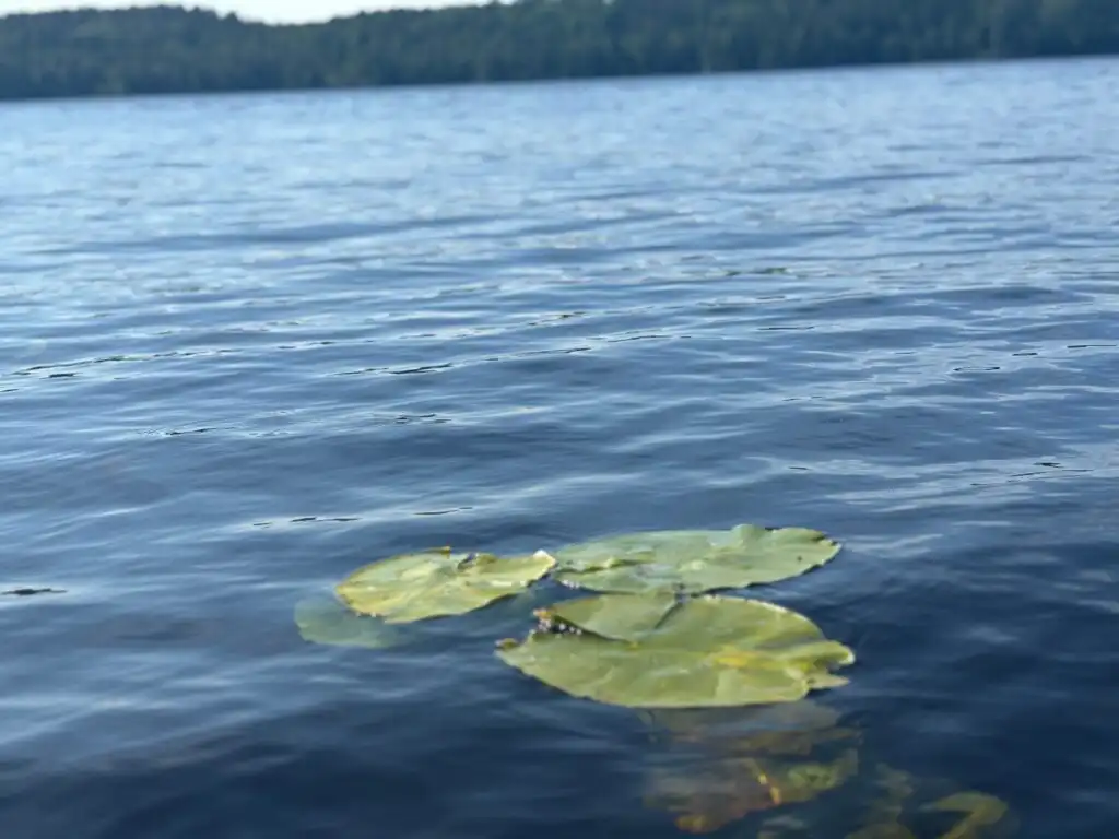 See bei Skillingfors in Värmland – Natur rund um die Blockhütte Ratzeputz