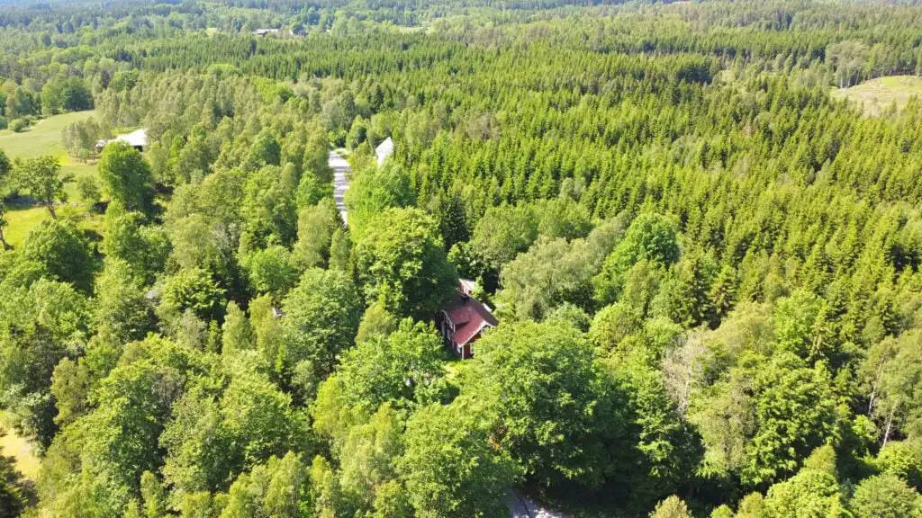 Luftaufnahme der Wälder und Seenlandschaft in Småland nahe dem Ferienhaus Torsholma Skolhus – Naturparadies in Südschwed
