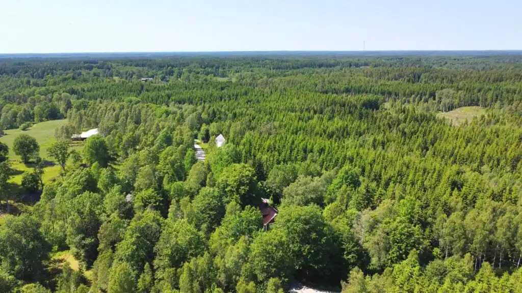 Historisches Schulhaus Torsholma Skolhus mit Garten in Hallaryd in Småland