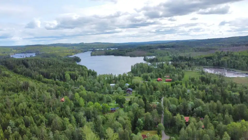 Waldlandschaft bei Filipstad in Värmland – Natur rund um die Ferienwohnung Näckros