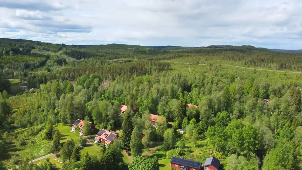 Natur und Wälder bei Filipstad in Värmland – Umgebung der Ferienwohnung Liljekonvalj