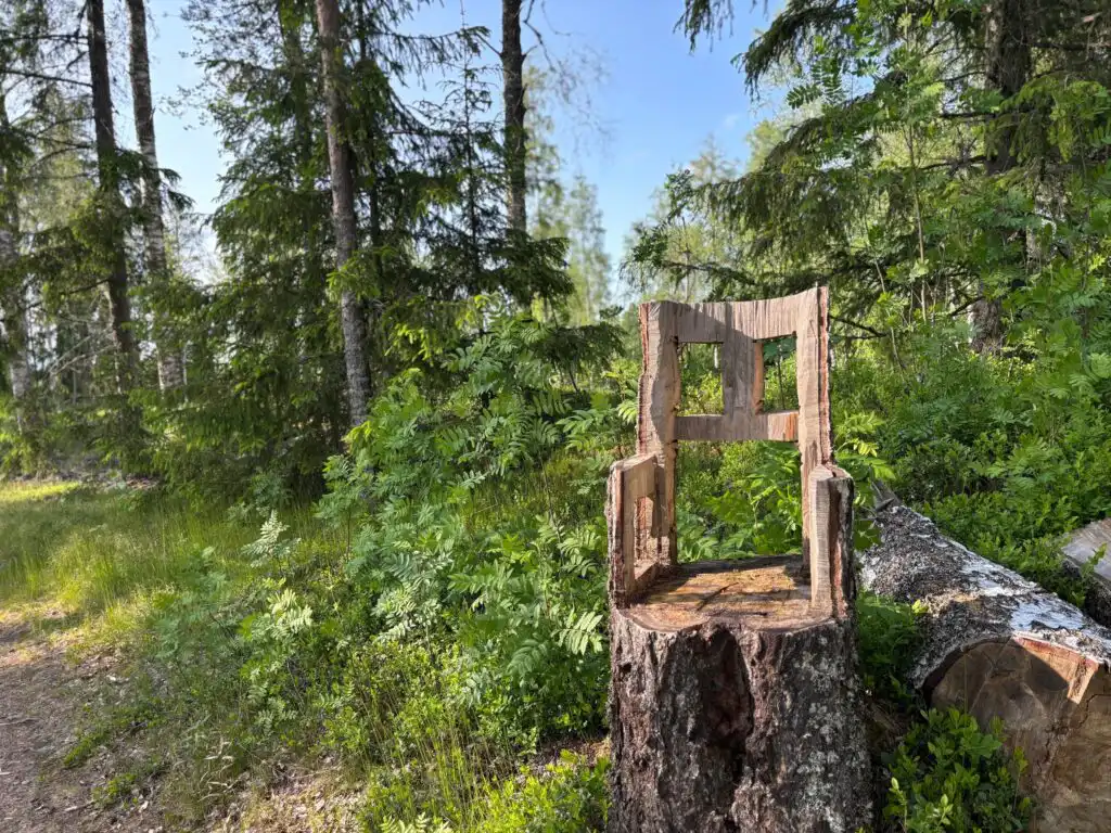Waldweg bei Filipstad in Värmland – Natur rund um die Ferienwohnung Mistel