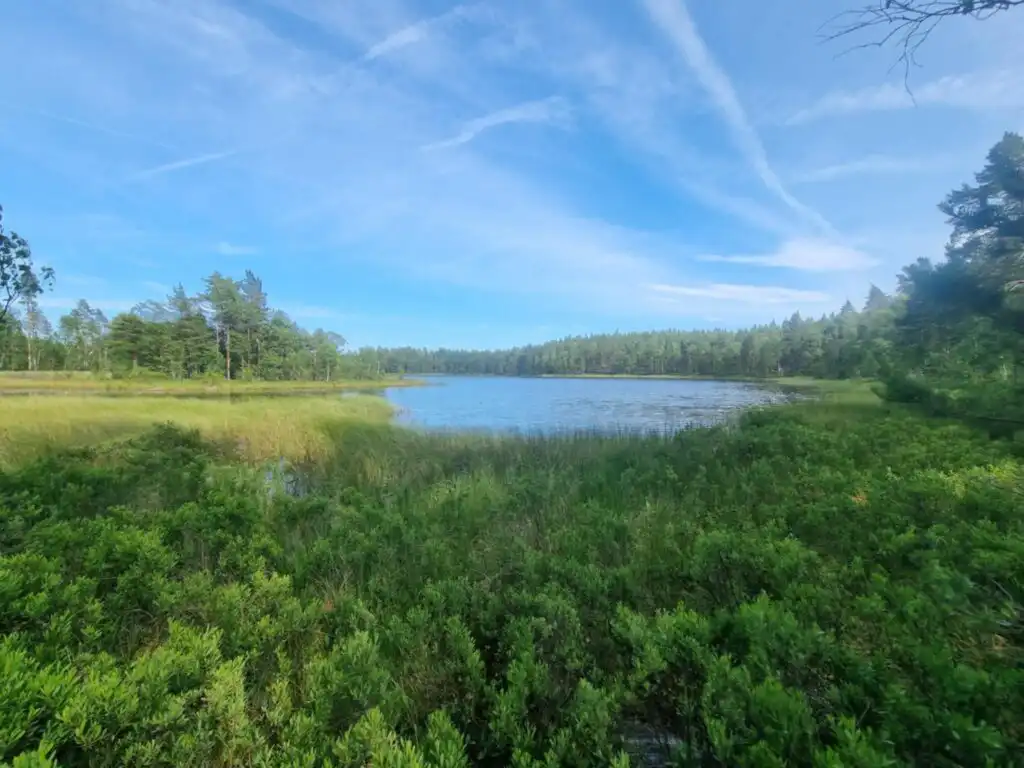 See und Landschaft bei Hus Hällemåla – ruhiger Waldsee nahe dem Ferienhaus