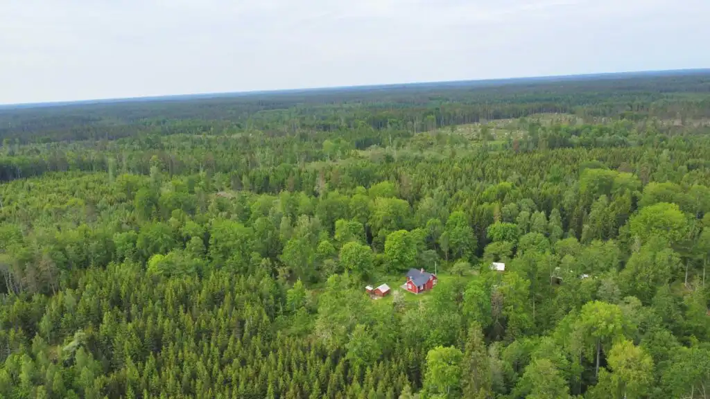 Landschaft rund um Hus Hällemåla – Wälder und Seen bei Mörlunda in Småland