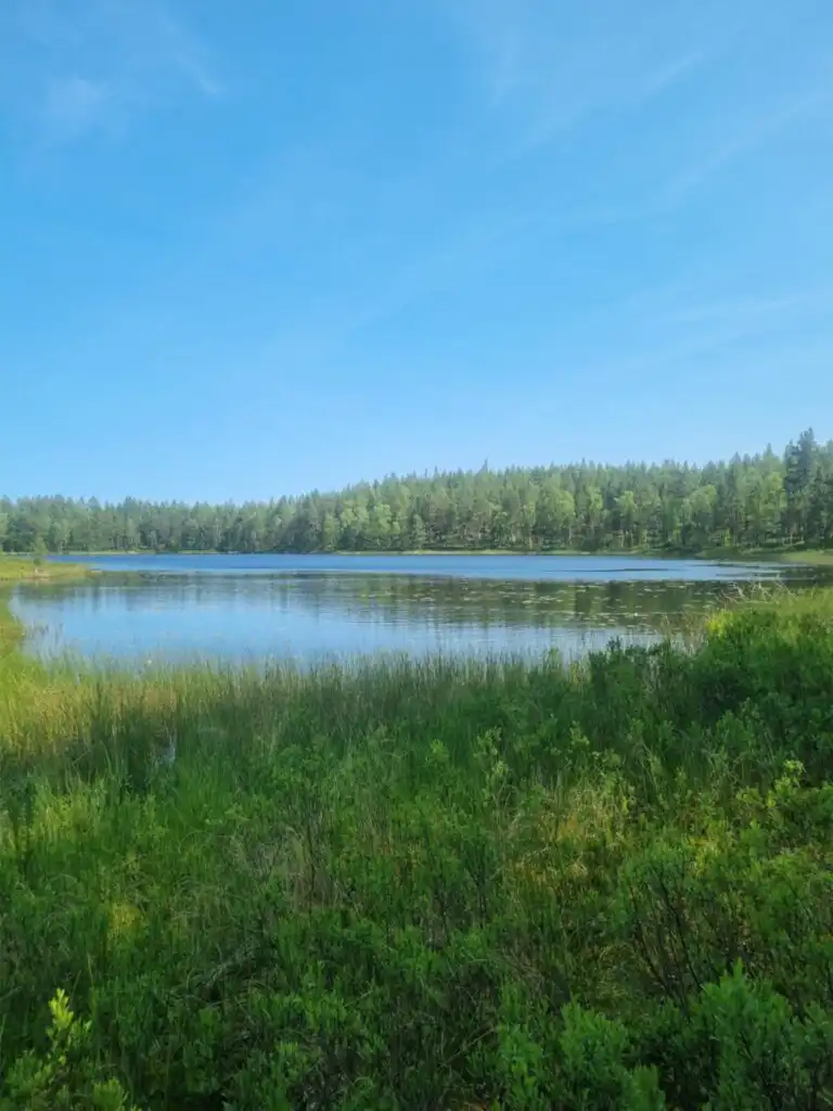 See und Landschaft in der Umgebung von Hus Hällemåla – Natururlaub in Småland