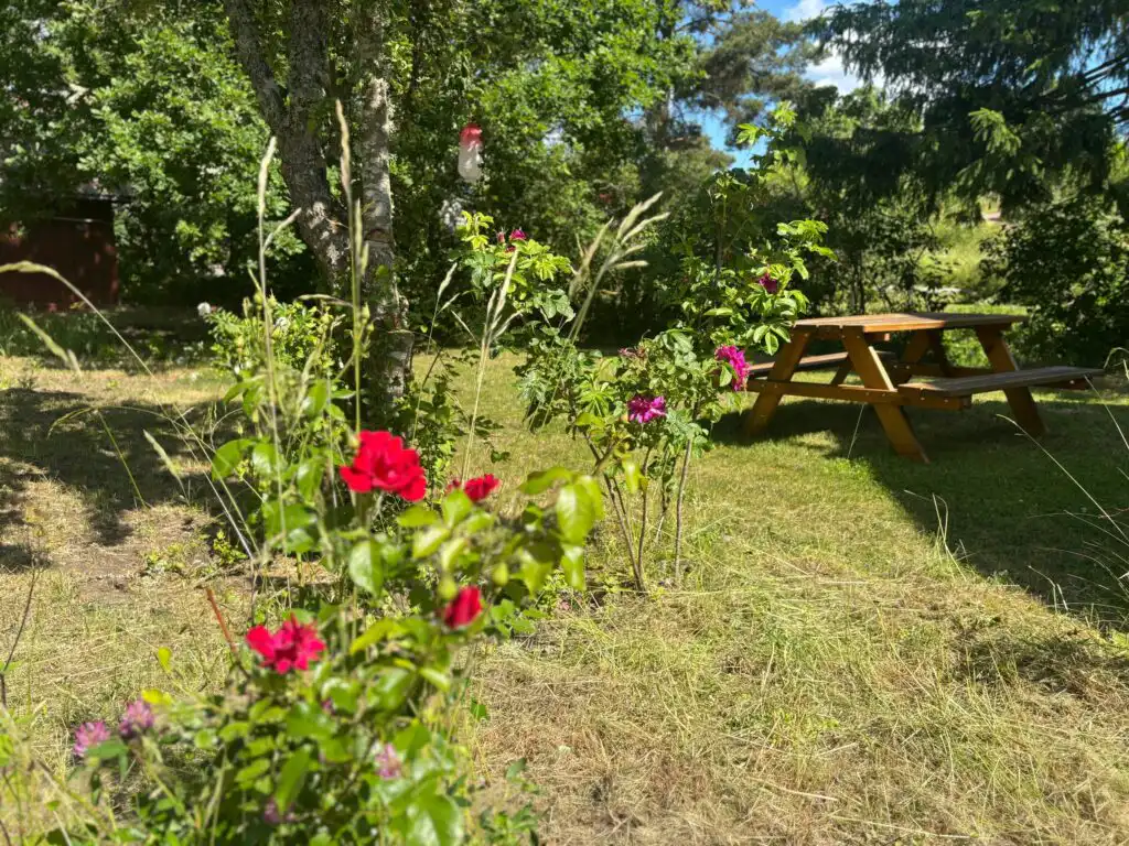 Gartenbereich mit Sitzplatz am Ferienhaus Villa Bela in Småland