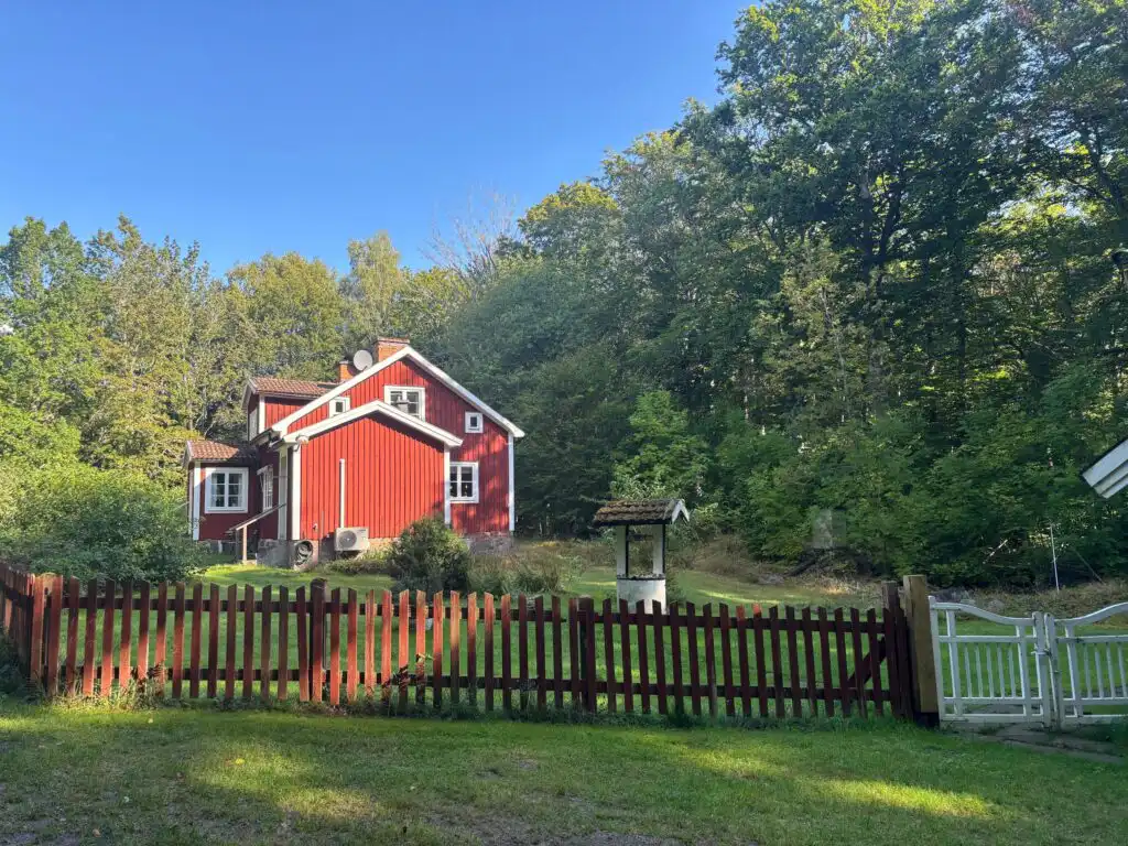 Eingezäunter Garten am Ferienhaus Bokhultet im Naturreservat Bokhultet – ideal für Urlaub mit Hund in Småland
