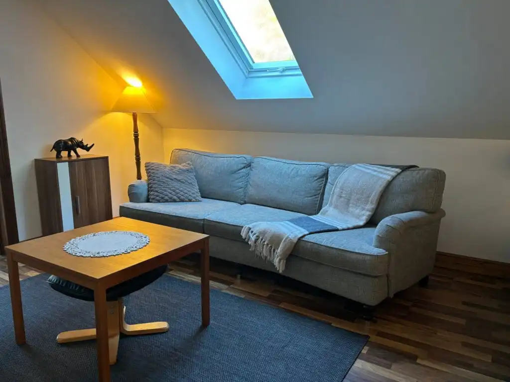 Wohnzimmer mit Sofa und Dachfenster im Ferienhaus Naturhus Broby