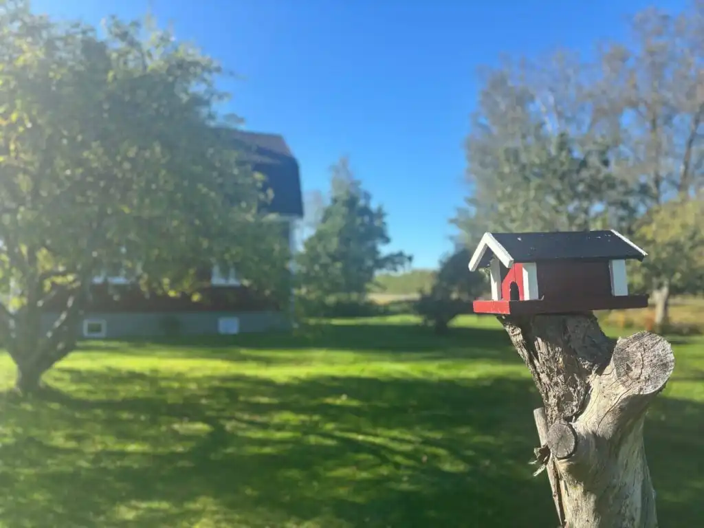 Garten am Ferienhaus Hus Brobacka – großzügiges Grundstück in ruhiger Lage