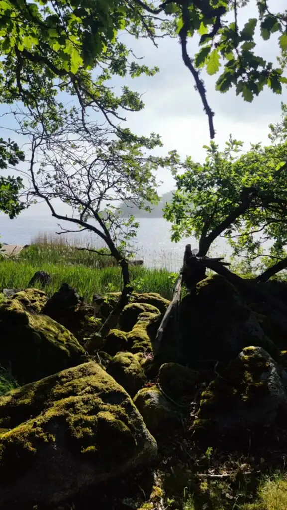 Waldlandschaft in Blekinge nahe dem Ferienhaus Vara Hemma