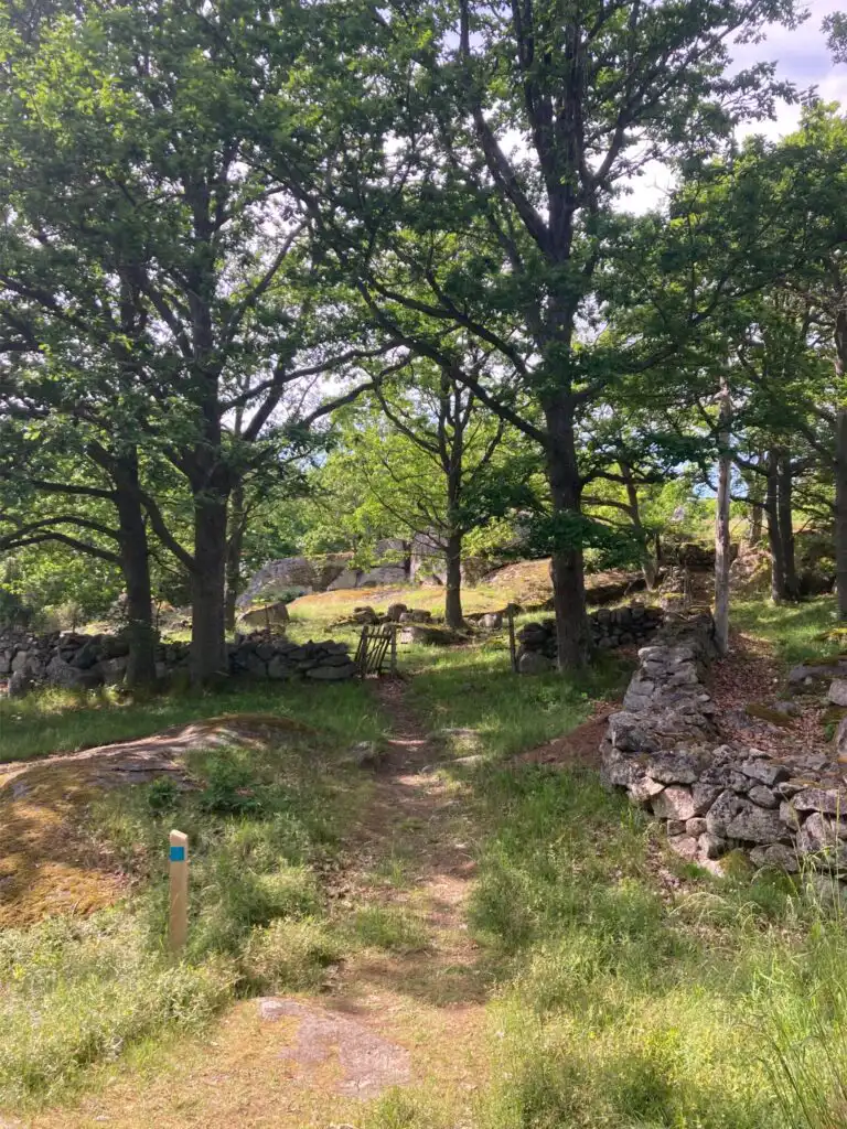 Naturwald in Blekinge nahe dem Ferienhaus Vara Hemma