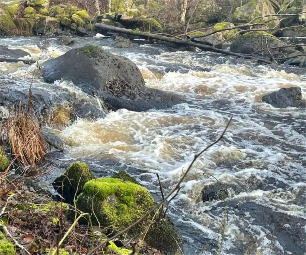 Bachlauf in der Natur von Blekinge nahe dem Ferienhaus Vara Hemma