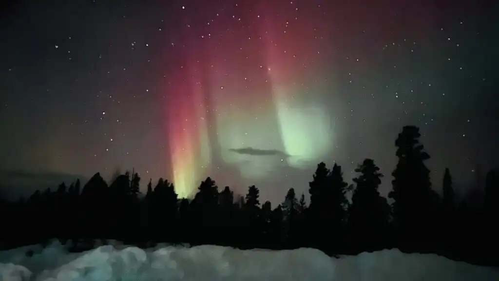 Nordlichter über der Winterlandschaft bei Vidsel Lappland nahe Villa Davvi dállu