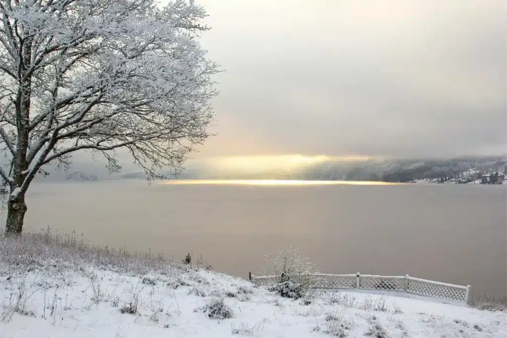 Winterlicher See in Värmland mit schneebedecktem Ufer, gefrorenen Bäumen und sanftem Morgenlicht über ruhiger Wasserfläche.