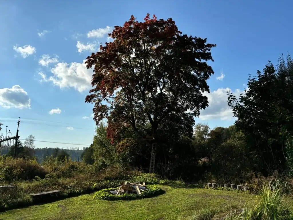 Natur- und Waldlandschaft rund um die Villa Skogsfred in Värmland