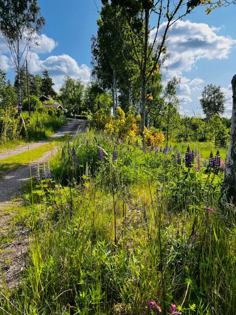 Natur- und Seenlandschaft bei Hultsfred nahe Hus Mio