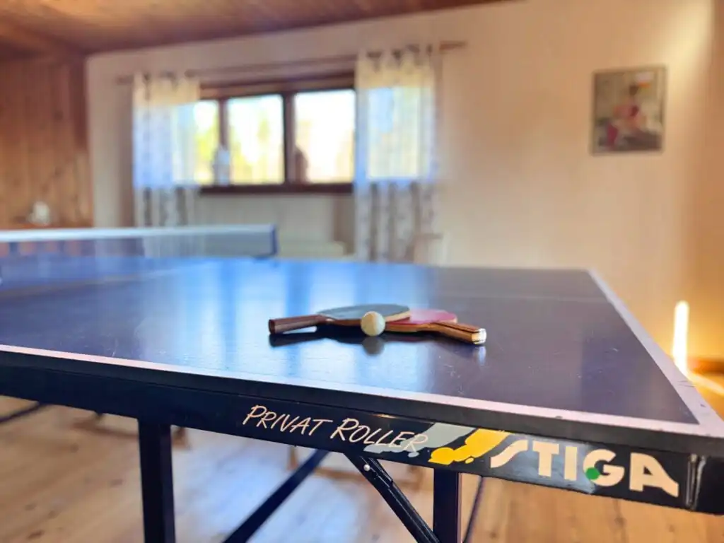 Tischtennis Ferienhaus Stora Hultet Småland