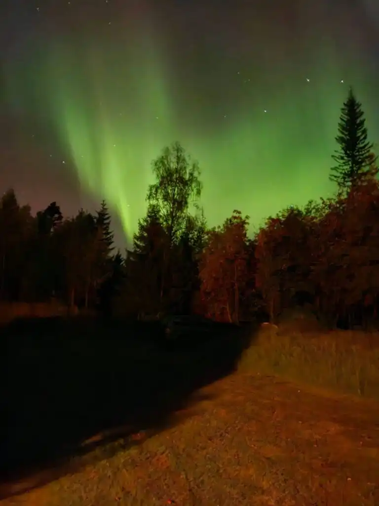 Nordlichter über Jämtland Schweden Natur Urlaub Hammerstrand