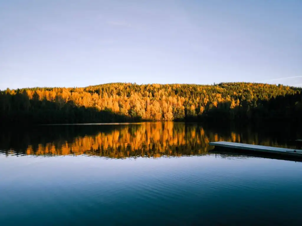 See und Waldlandschaft bei Hammerstrand Jämtland Schweden Natur