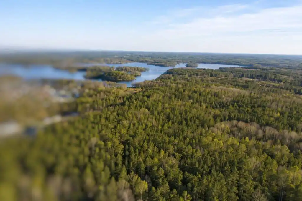 Natur rund um das Ferienhaus Ryd in Småland mit Wäldern und Seen