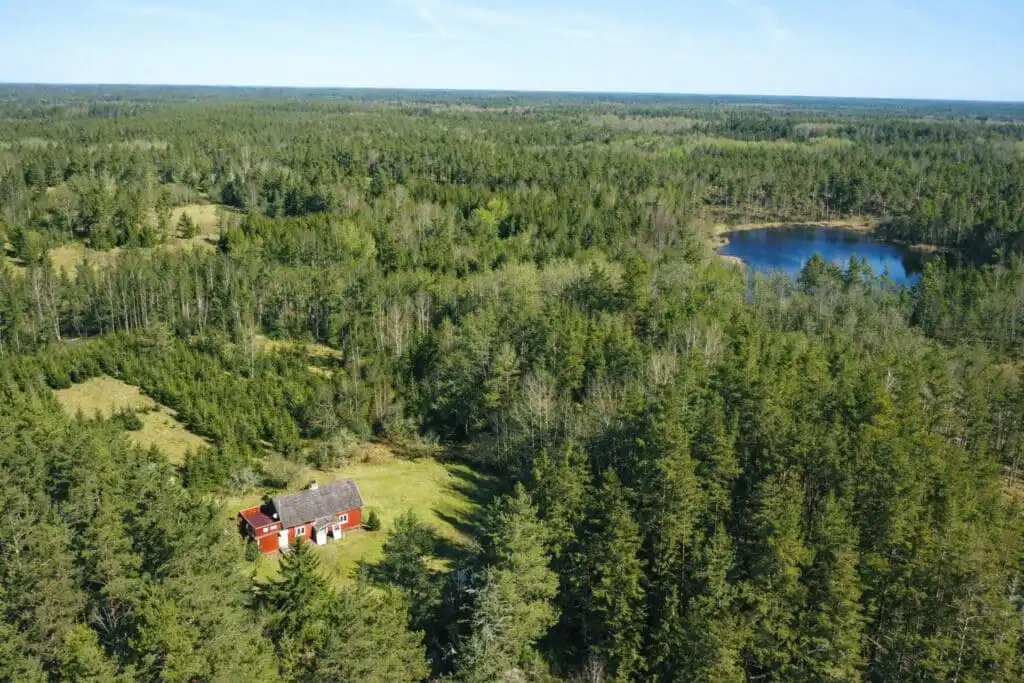 Ferienhaus in Schweden umgeben von Wäldern und Wiesen bei Småland