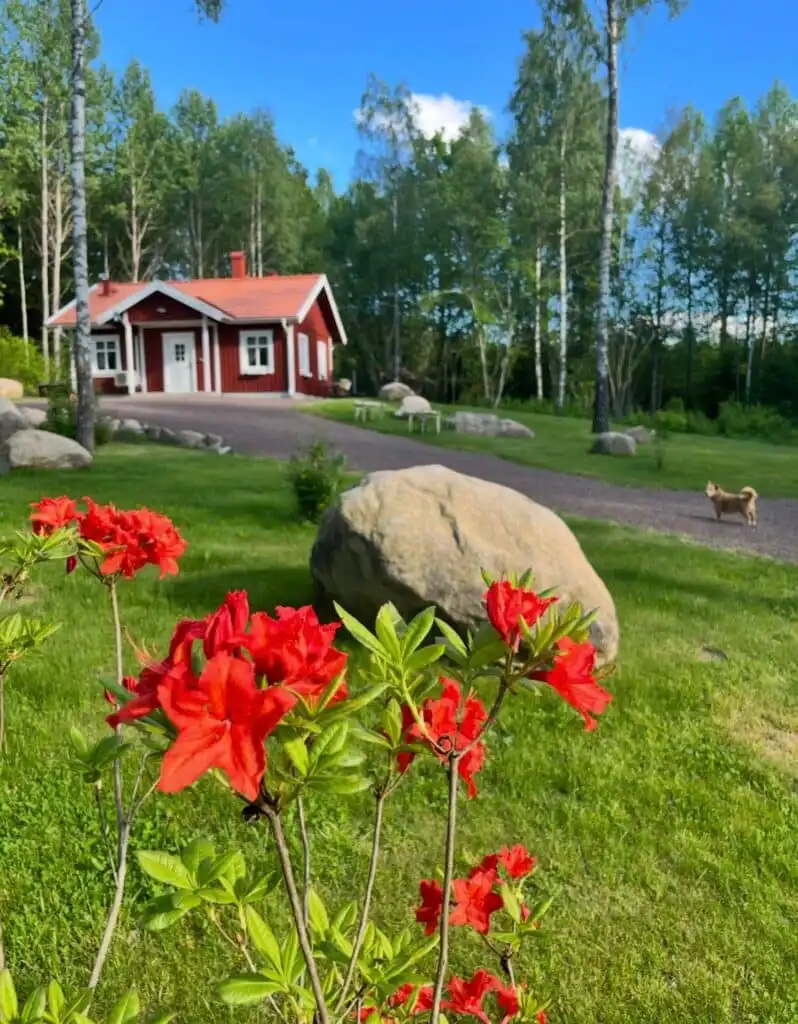 Garten mit Blumen und Natur rund um das Ferienhaus