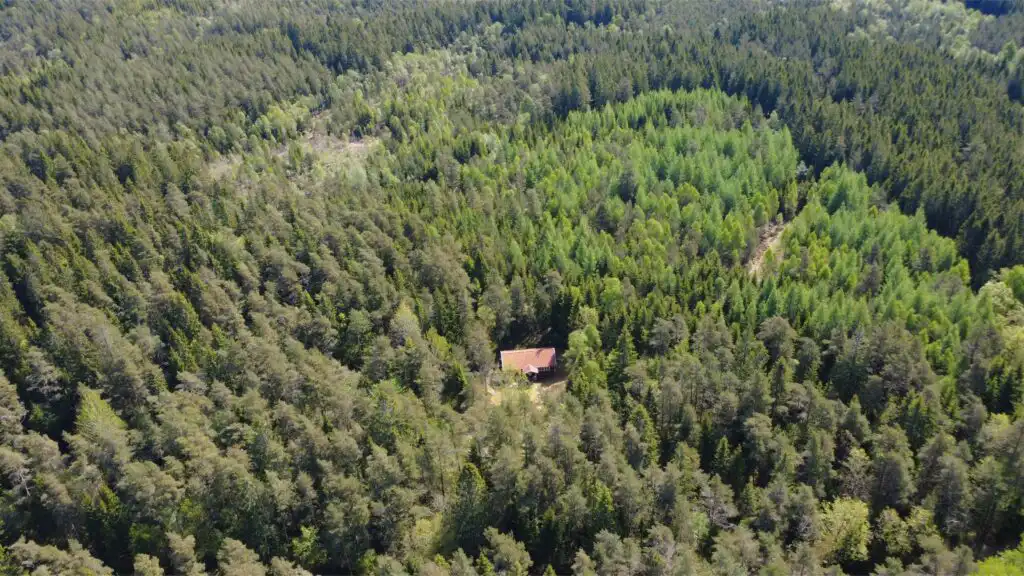 Luftaufnahme der ruhigen Waldlandschaft rund um Stuga Rödhak