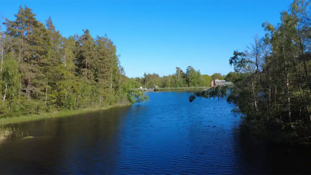 Blick auf den Emån inmitten der Wälder Smålands