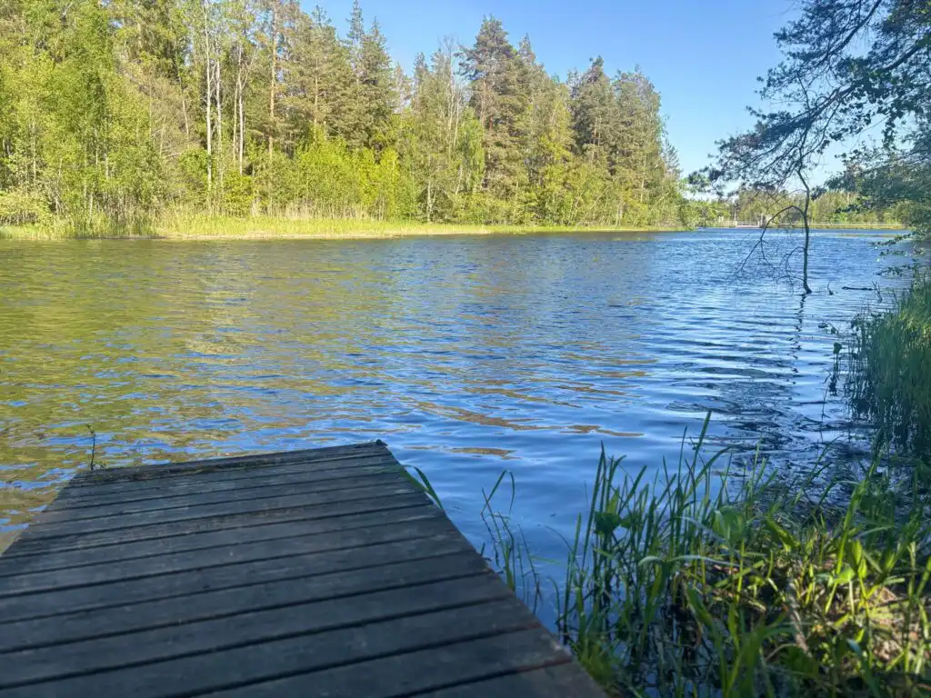 Kleiner Steg am Emån inmitten der Natur Smålands